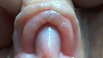 Intense Close-Up Of Nektiya'S Clitoris And Big Labia